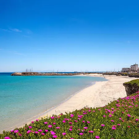 아파트호텔 Palma Salento 산포카